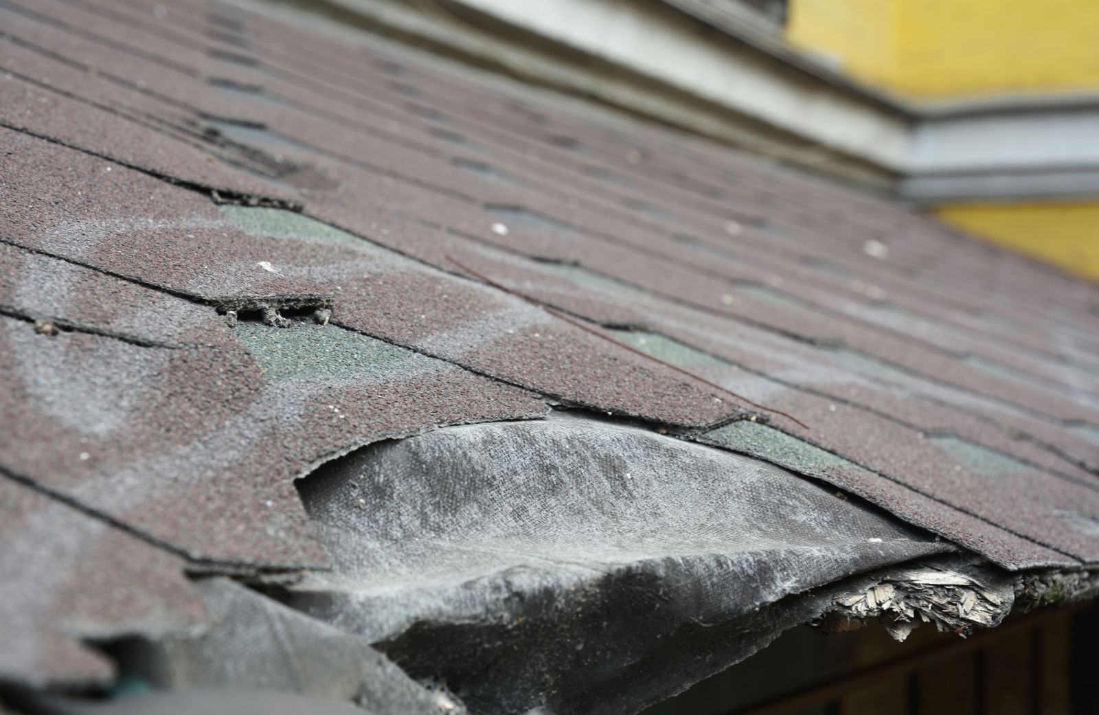 Texas Roof Masters & Construction Co. Images