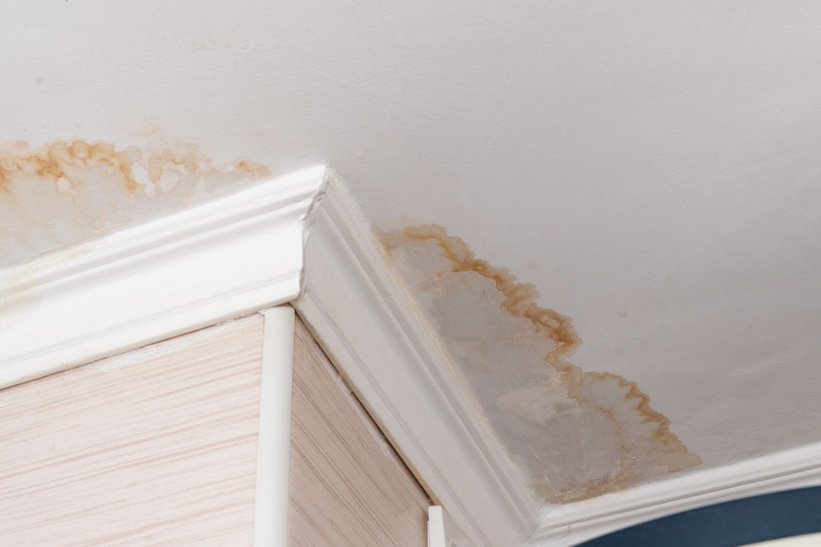 Texas Roof Masters & Construction Co. Images