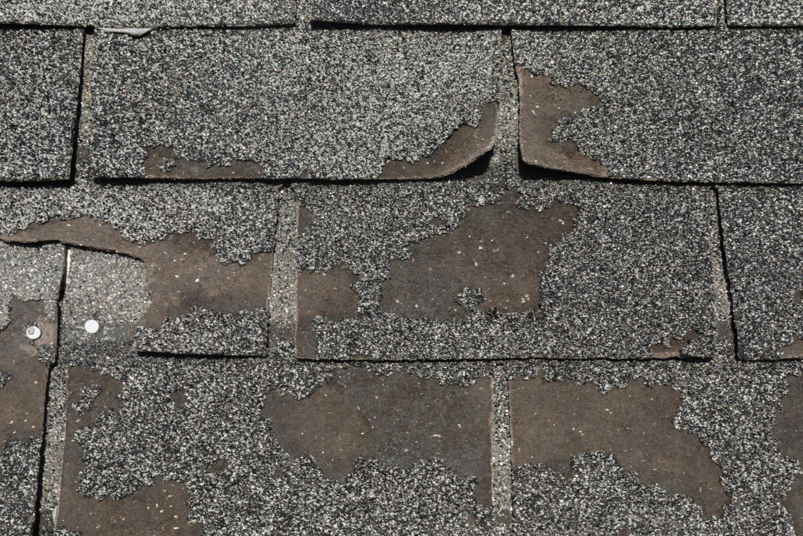 Texas Roof Masters & Construction Co. Images
