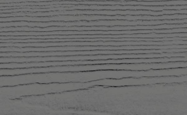 Texas Roof Masters & Construction Co. Images