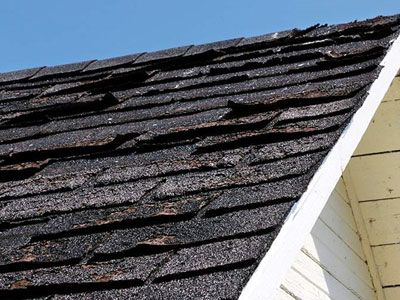 Texas Roof Masters and Construction Company Images