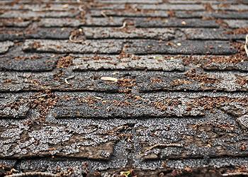 Texas Roof Masters and Construction Company Images